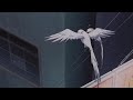 Just Wanna Be Your Girl X Luxurious Mix Slowed And Reverb