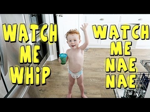 TWO YEAR OLD KID WATCH ME WHIP WATCH ME NAE NAE Video
