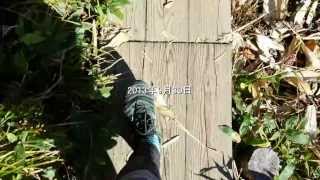 至仏山前編　森林限界を超える