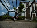 One Leg 10 Squats(left) 片足スクワット10回