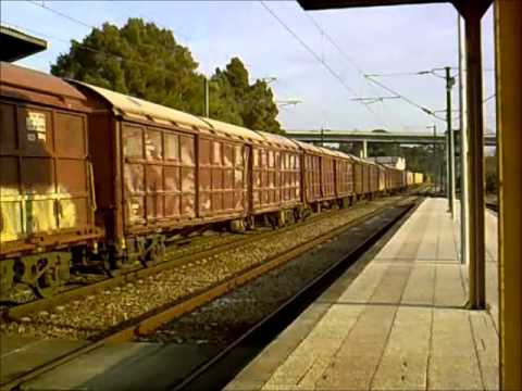 Comboio de Cimento nº 57637 - Estação da Amieira