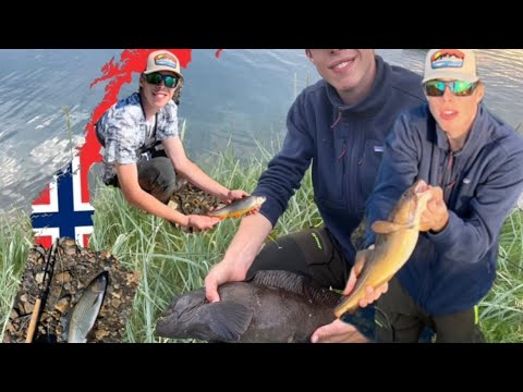 Angelwoche in Nordnorwegen 🇳🇴 Sommer 2023-Forellen, Saiblinge, Äschen, Dorsche und Plattfische