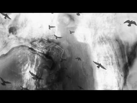 Sleep Dealer - Wayfarer