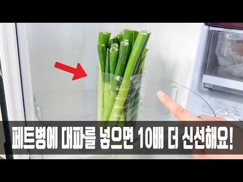 대파 냉장고에 그냥 보관하지마세요! 페트병에 넣었더니 한 달이 지나도 싱싱하네요