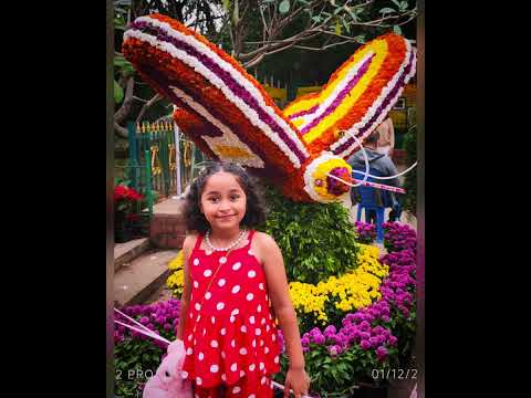 #vihana panthangi #vihana #cubbonpark #cubbon#bangalore#flowers #trending #cute baby #cute