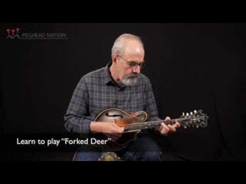 "Forked Deer" | Old-Time Mandolin with John Reischman