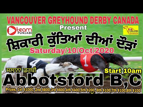 ਸ਼ਿਕਾਰੀ ਕੁੱਤਿਆਂ ਦੀਆਂ ਦੌੜਾਂ VANCOUVER GREYHOUND DERBY CANADA DOG RACES 10 OCT 2020
