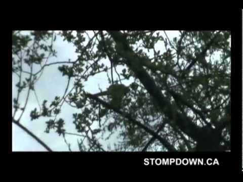 Short Movie - Stompdown Killaz