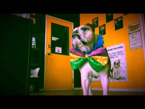 Happy Birthday Pogi!!