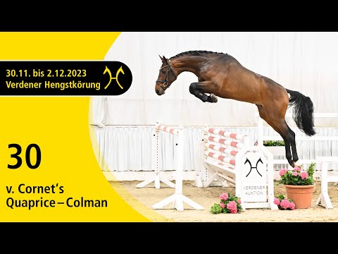 Verden Stallion Licensing 2023 - Jumping - Dec. 1/2- No. 30 Stallion by Cornet's Quaprice - Colman