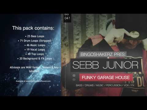 Bingoshakerz - Sebb Junior - Funky Garage House