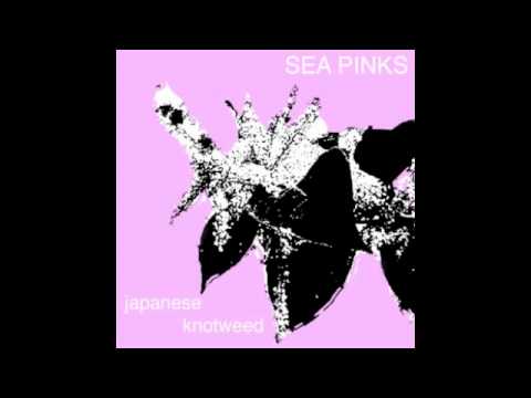 Japanese Knotweed - Sea Pinks