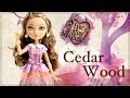 Ever After High : Cedar Wood 