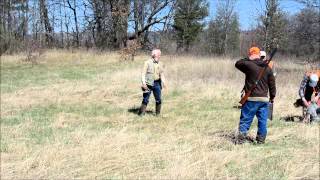 VJP/HZP: Faisán impedido de volar reemplaza liebre viva