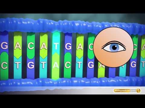 Krebs: Mutationen in der DNA führen zu Krebszellenwachstum