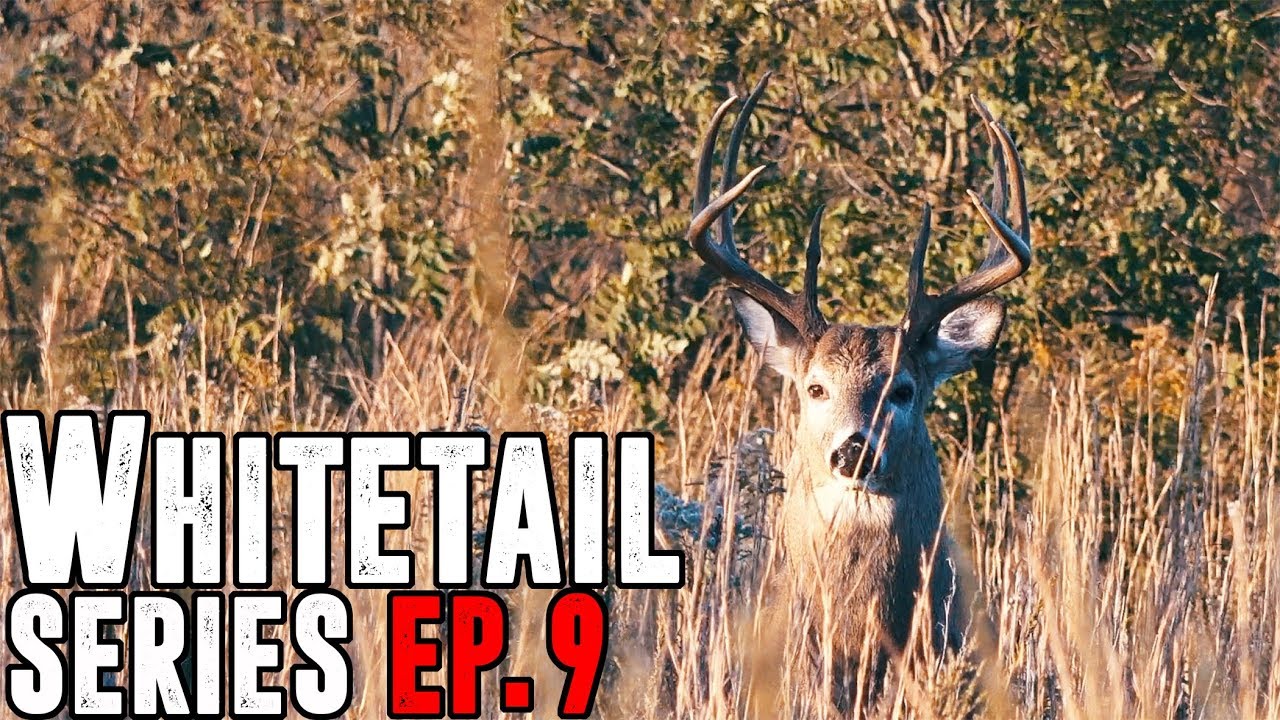 INSANE GHILLIE SUIT WHITETAIL BOWHUNTING
