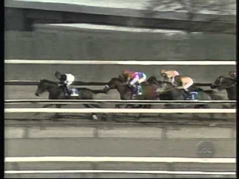 1995 Wood Memorial Stakes - Talkin Man + Post Race