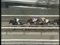 1995 Wood Memorial Stakes Talkin Man Post Race