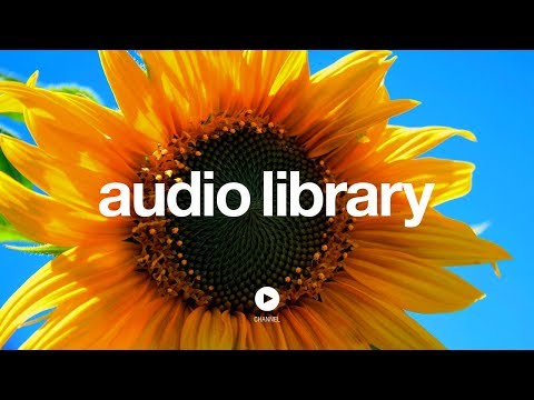 How it Began – Silent Partner (No Copyright Music)