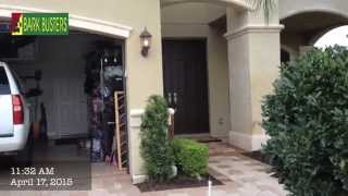 Aussie Shepherd & Miniature Dachshund - Dog Training of Fort Myers - Patrick Logue