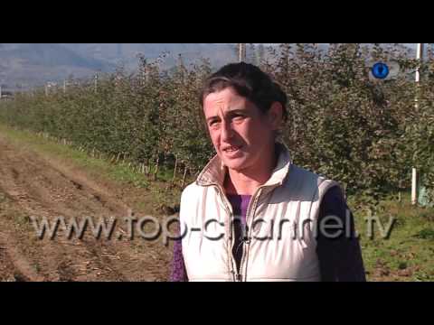 Ti Mundesh, 28 Nentor 2015, Pjesa 1 - Top Channel Albania