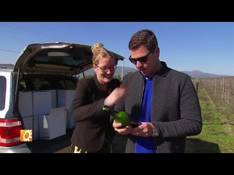 De familie Pos vieren hun eigen programma - RTL BOULEVARD