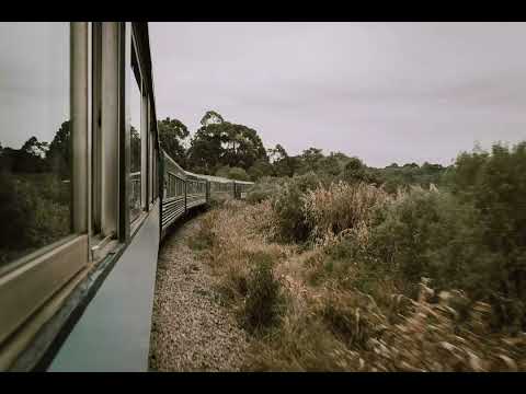 Take the Curitiba Paranaguá Train Ride