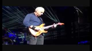 Mark Knopfler - TERMINAL OF TRIBUTE TO sample
