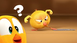 What Is That? | Where's Chicky? | Cartoon Collection in English for Kids | New episodes