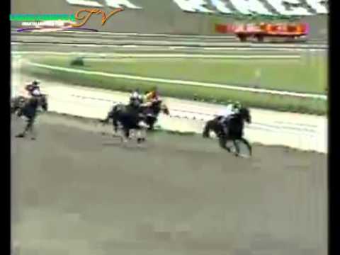 LA RINCONADA 11 CARRERA, DOMINGO 19 DE OCTUBRE DEL 2014