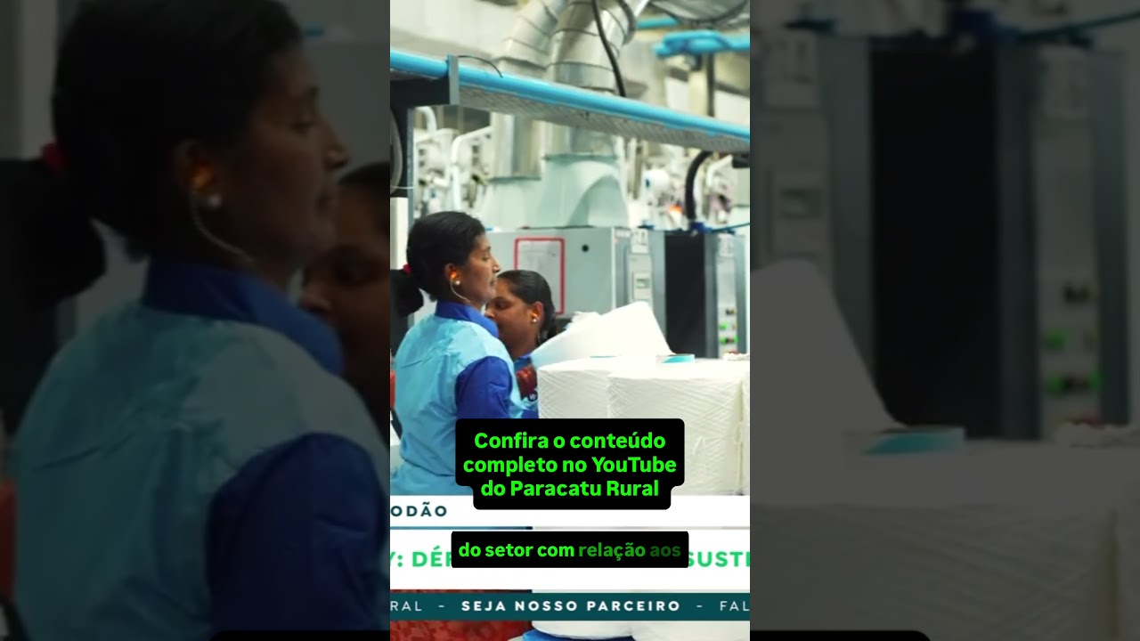 Algodao em NY: déficit mundial vai sustentar os preços