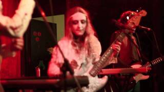 The Venice Whalers - Fools in Love (Joe Jackson) LIVE