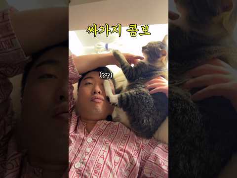 아이콘