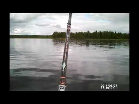 Tornionjoki. Kojamo make my day!