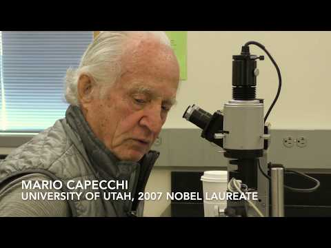 Mario Capecchi - Simple Equipment, Monumental Experiments