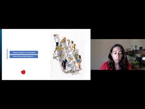 2020 Virtual Summer Conference: (التوحد ، إهلرز دانلوس ، اضطرابات فرط الليونة (د. كارولينا بايزا-فيلاسكو | Arabic (ARB)