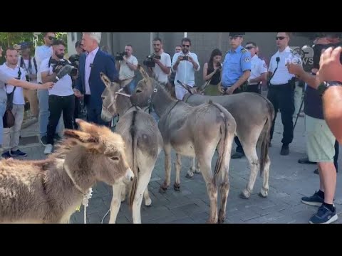 Top News – Gomerë në oborrin e Kuvendit, protesta simbolike në Kosovë