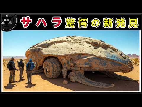 世界で最も暑い砂漠: 研究者が隠れた生き物を発見