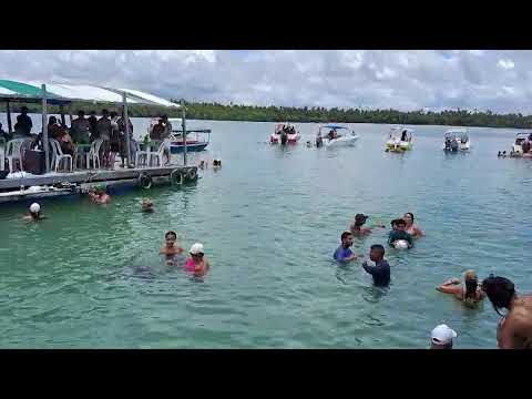 Piscinas naturais de Garapuá,  em Cairu Bahia passeio em família Xavier. 
