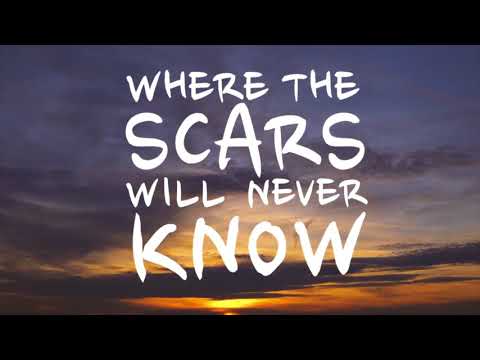 Xander Niels   FJackerz feat  Nathan Brumley   Have It All Dance   Tropical House   XTRXX