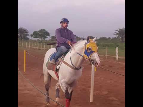 Dick Brummel X Verdugo dash 🐎💥grande Vitória de Dick brummel!🥇🏆