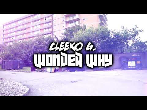 Video thumbnail vkZ0_OZqTZA