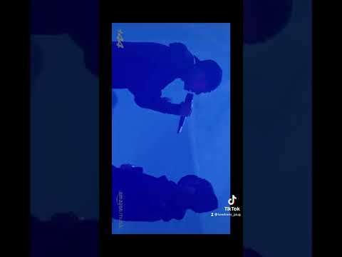 Central cee and his lil bro perform their song on stage