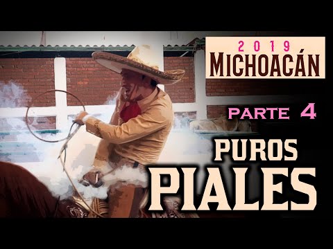 Pure PIALES on the CANVAS part 4 - Morelia Congress 2019