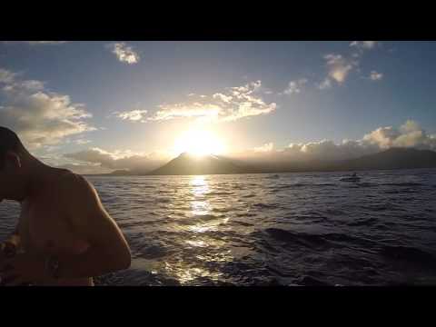 Mauritius Ocean Classic 2014 - Day 8 - Dolphin Dive with JPH Charters