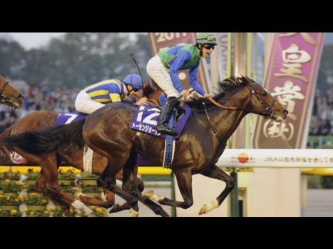 今日の産経新聞　 10月31日 7Days Photo