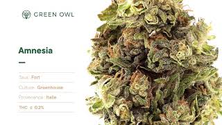 Miniature de la vidéo