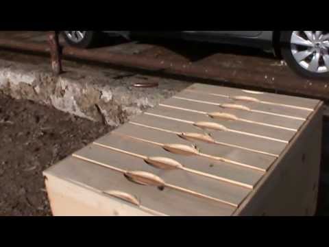 Lucrul cu stupul de 9 nuclee pe rame 1/1 - Matcile proaspat ecluzionate trebuie rapid separate