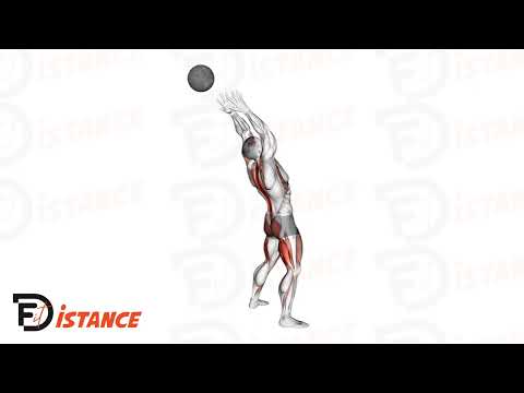 Lancer de médecine ball en arrière - Exercice Lancer de médecine ball en arrière en vidéo Lancer de médecine ball en arrière - Exercice Lancer de médecine ball en arrière en vidéo