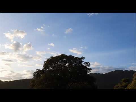 Jack DeJohnette, Ravi Coltrane & Matthew Garrison, Hopkins (2017)